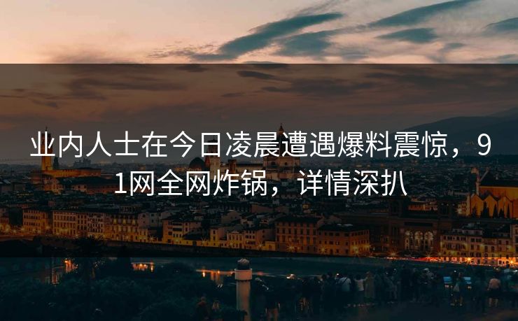 业内人士在今日凌晨遭遇爆料震惊，91网全网炸锅，详情深扒