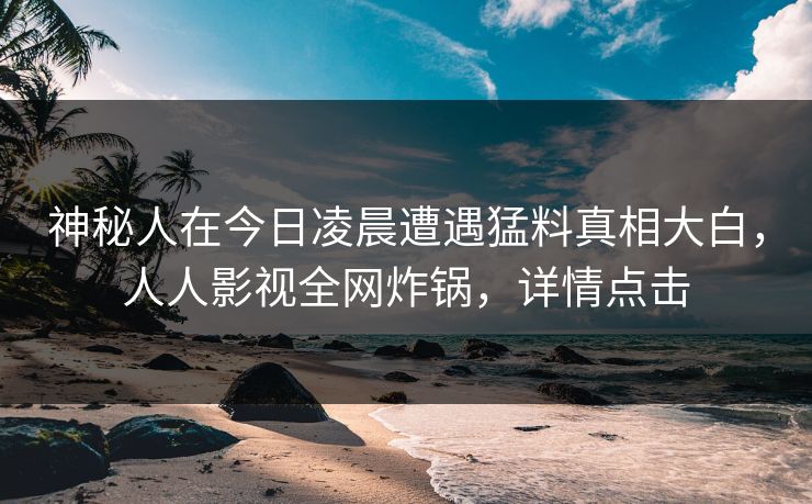 神秘人在今日凌晨遭遇猛料真相大白，人人影视全网炸锅，详情点击
