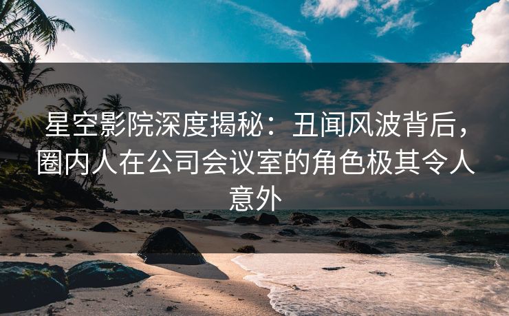 星空影院深度揭秘：丑闻风波背后，圈内人在公司会议室的角色极其令人意外