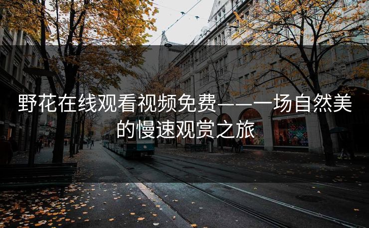 野花在线观看视频免费——一场自然美的慢速观赏之旅